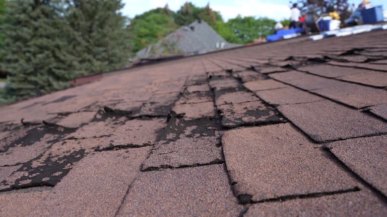 Fast & Reliable Emergency Roof Repairs in Billings, MT